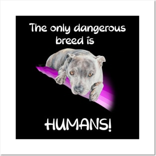 The only dangerous breed is HUMANS! Posters and Art